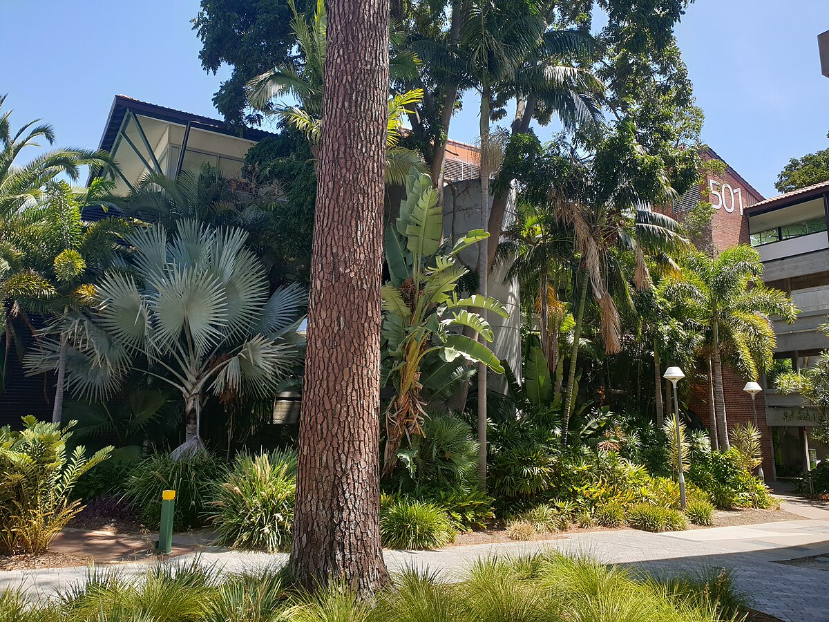 Curtin University Campus 3