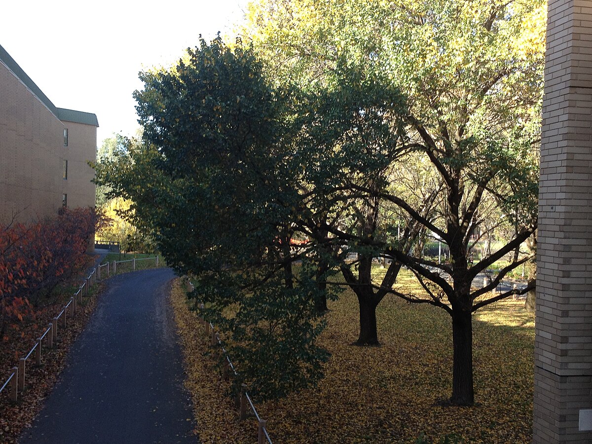 La Trobe University Campus 2