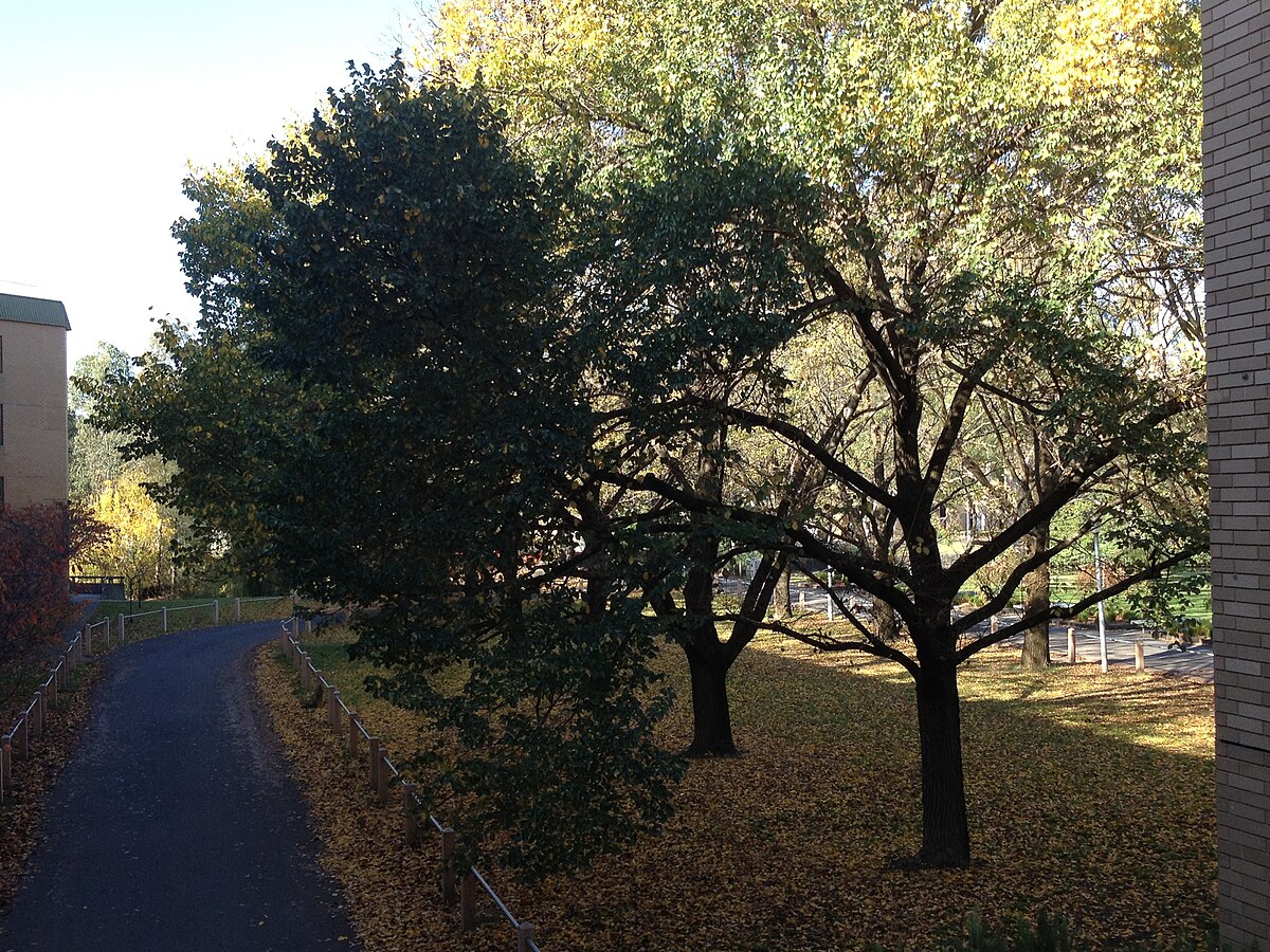 La Trobe University Campus 3