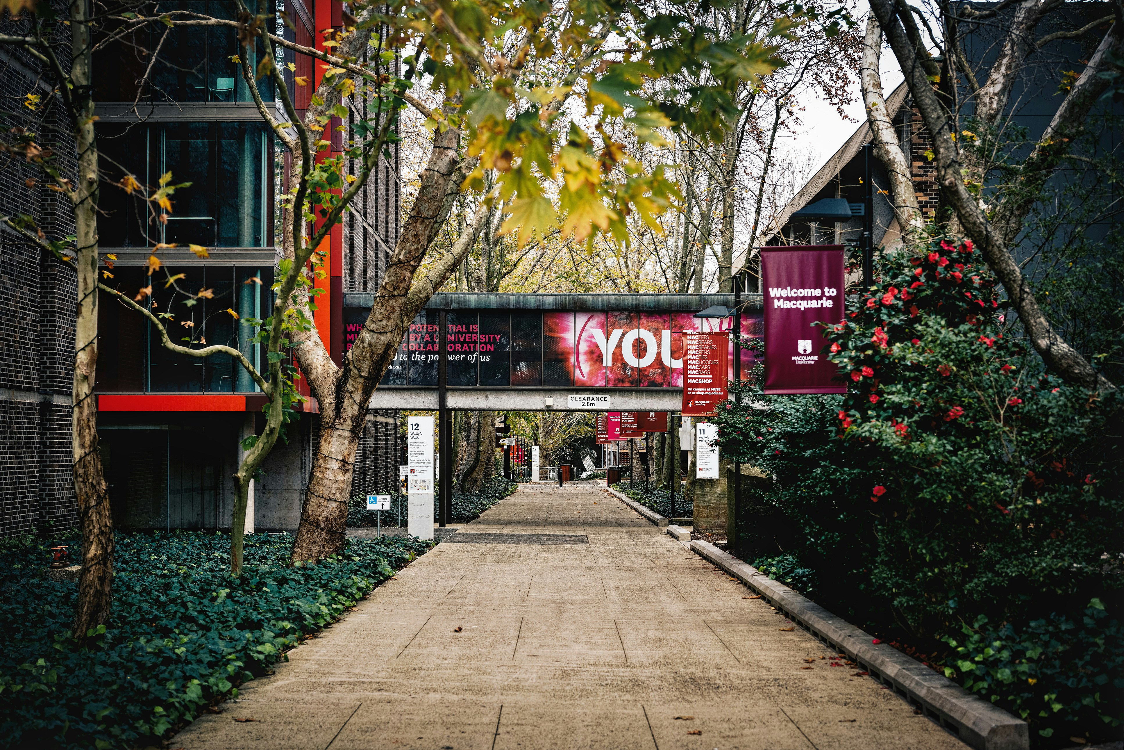 Macquarie University Campus 2