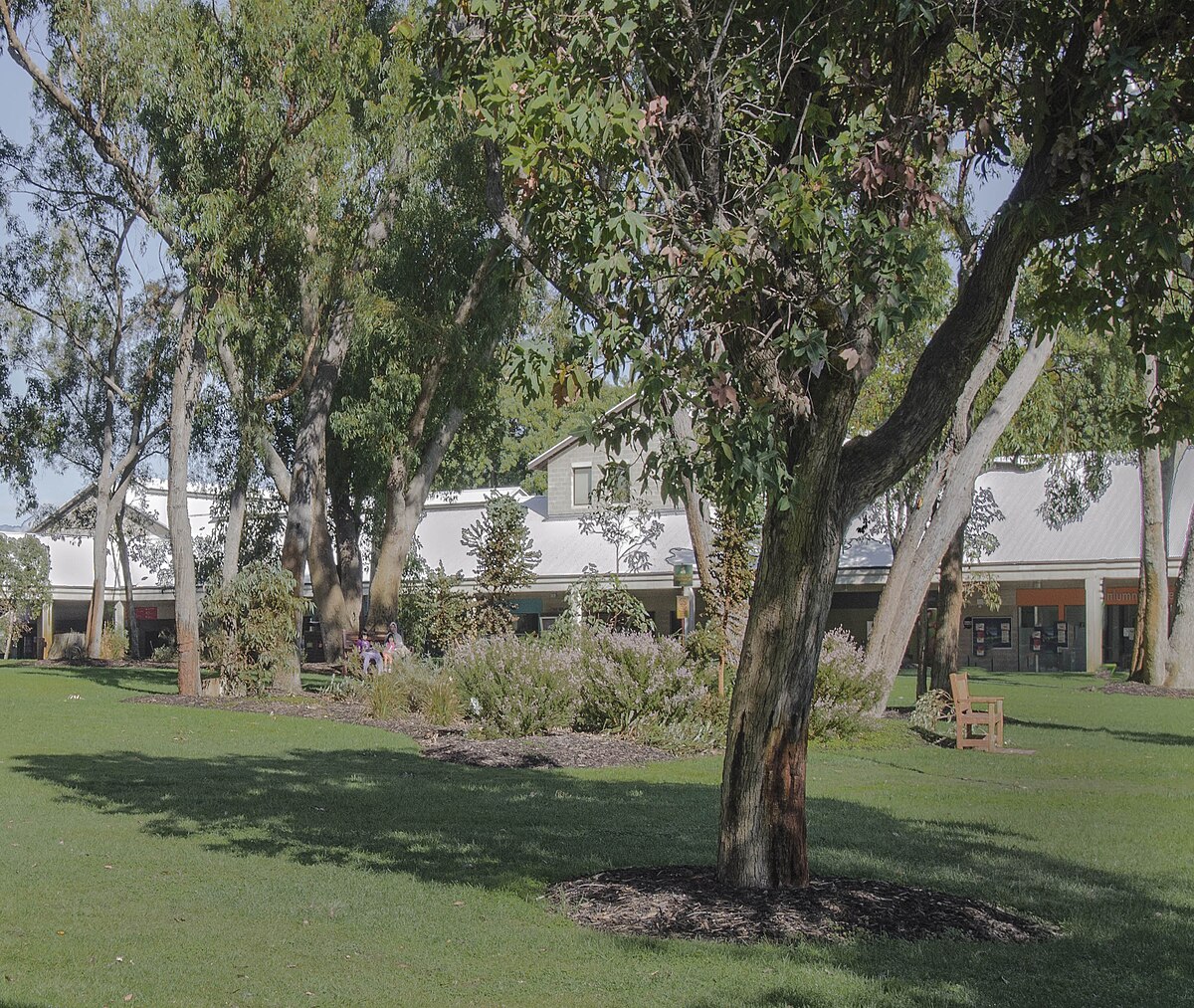 Murdoch University Campus 2