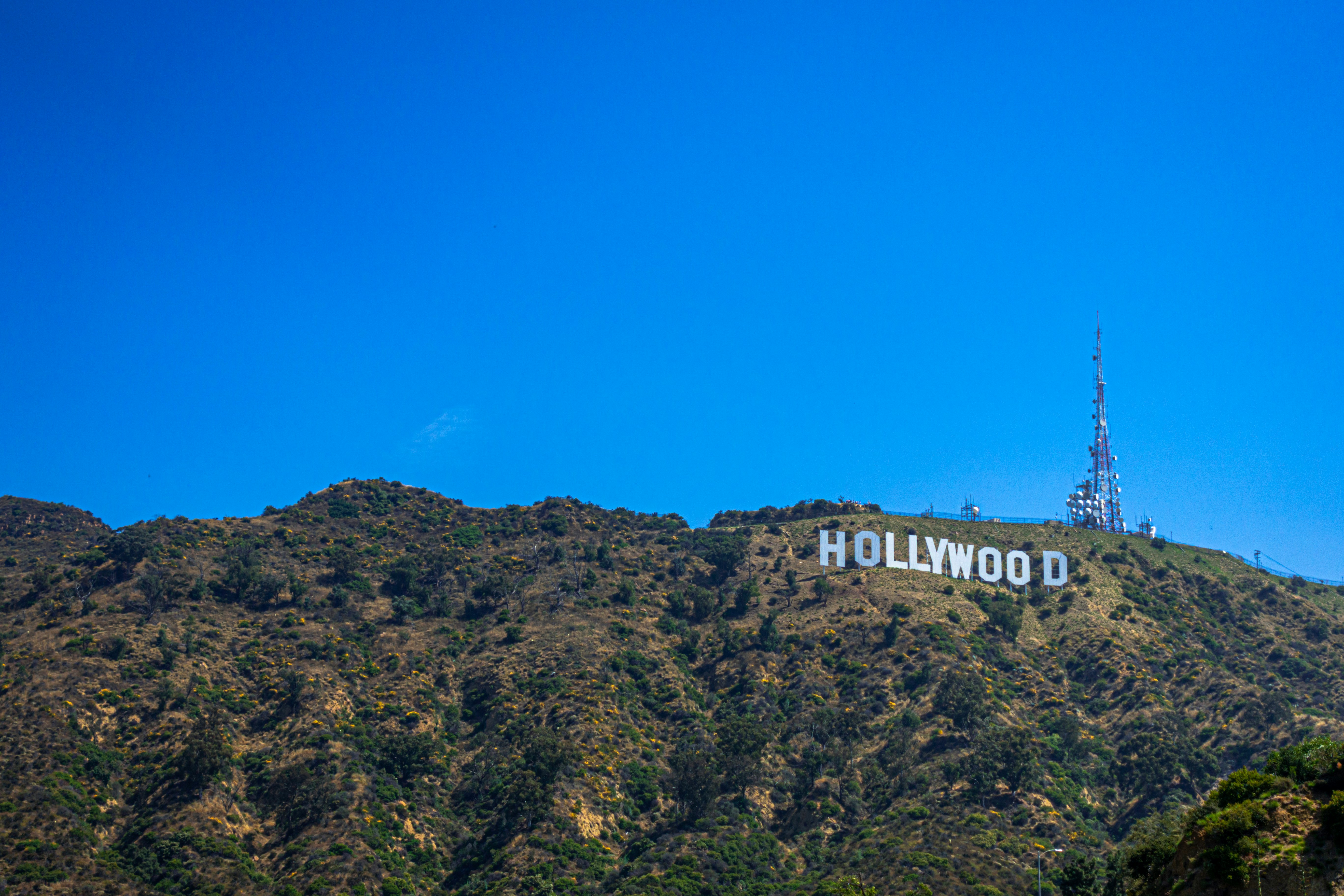 USAの留学ニュース